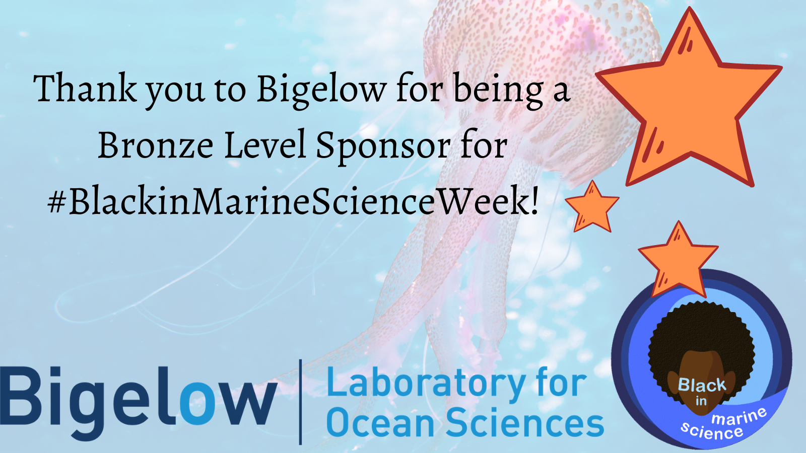 Thank you to the Bigelow Laboratory for Ocean Sciences for being a Bronze Level Sponsor for Black in Marine Science Week
