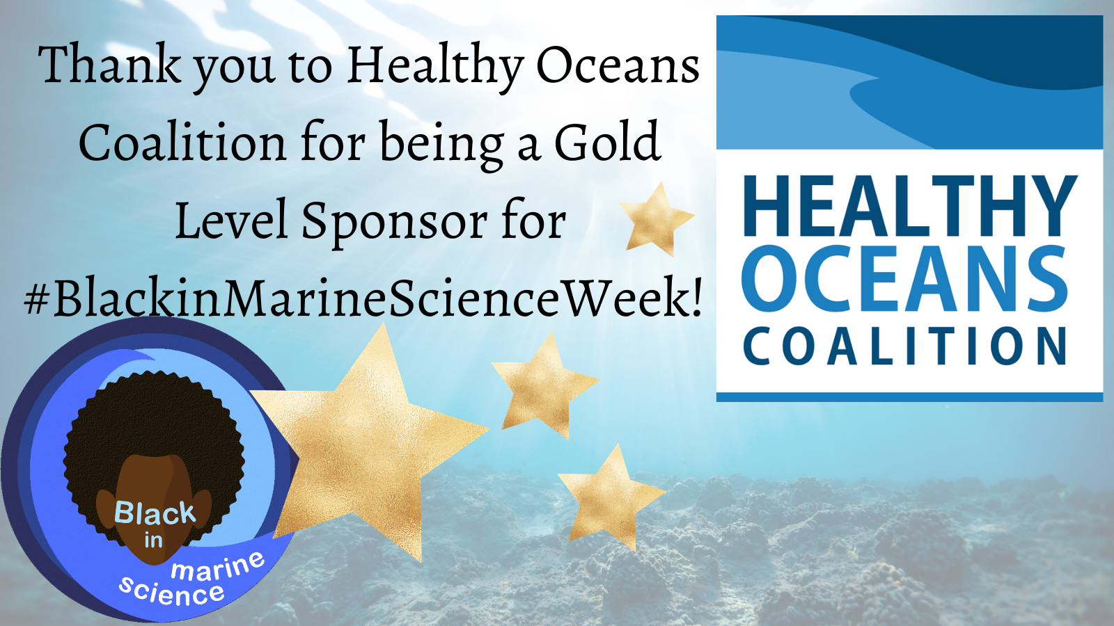 Thank you to the Healthy Oceans Coalition for being a Gold Level Sponsor for Black in Marine Science Week