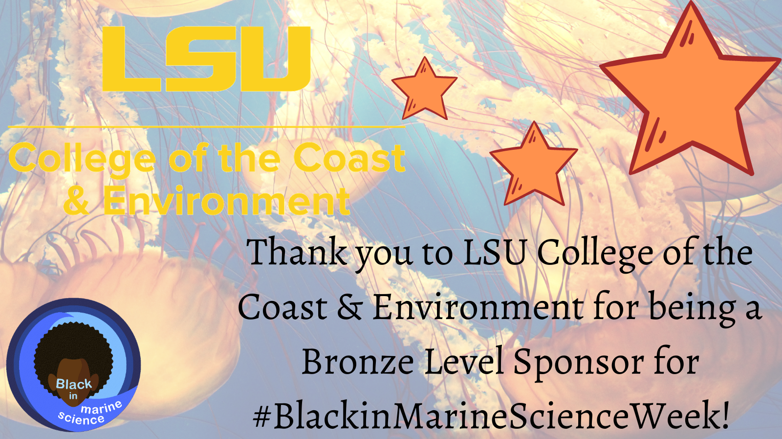 Thank you to Louisiana State University's College of the Coast & Environment for being a Bronze Level Sponsor for Black in Marine Science Week
