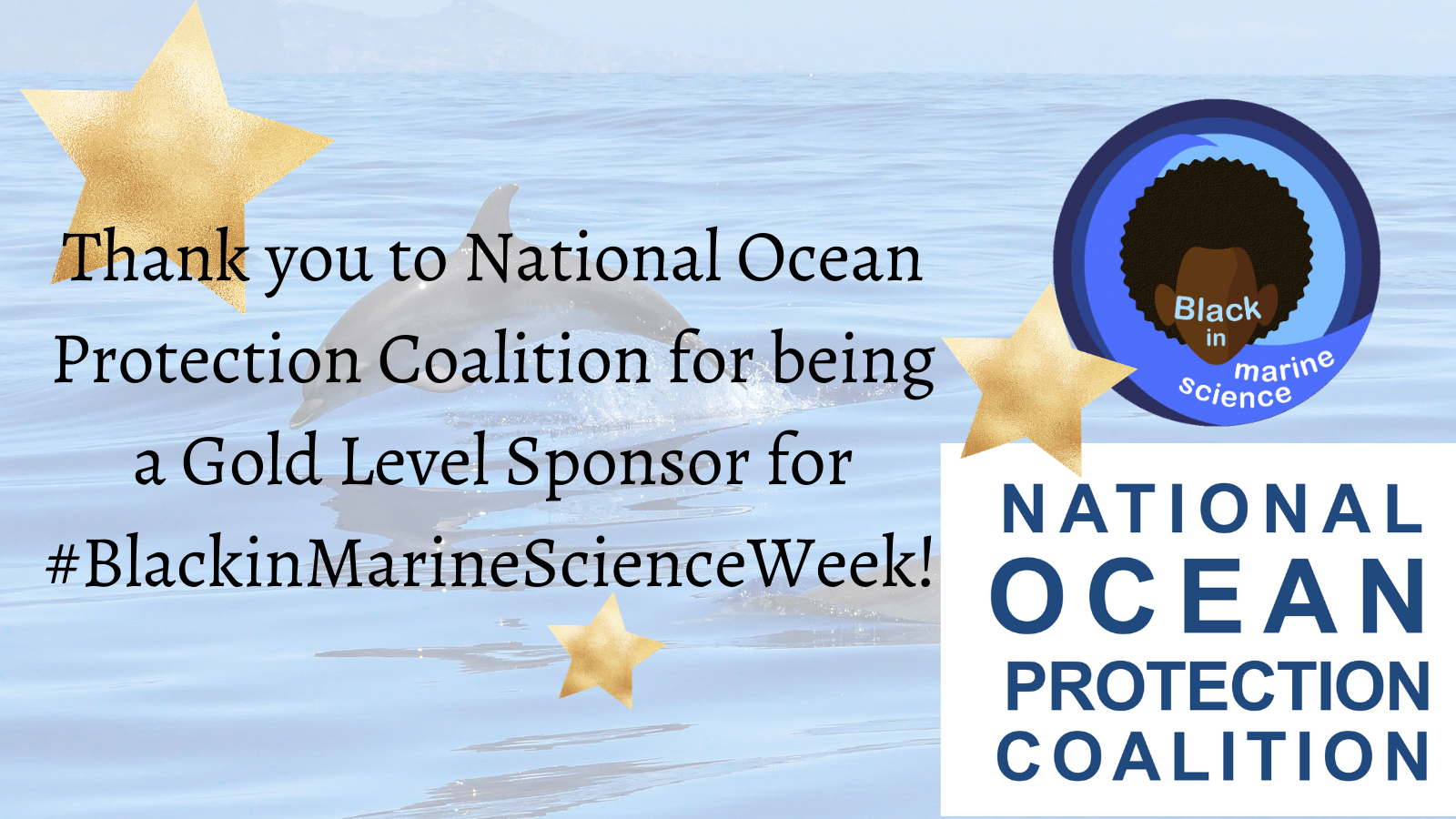 Thank you to the National Ocean Protection Coalition for being a Gold Level Sponsor for Black in Marine Science Week