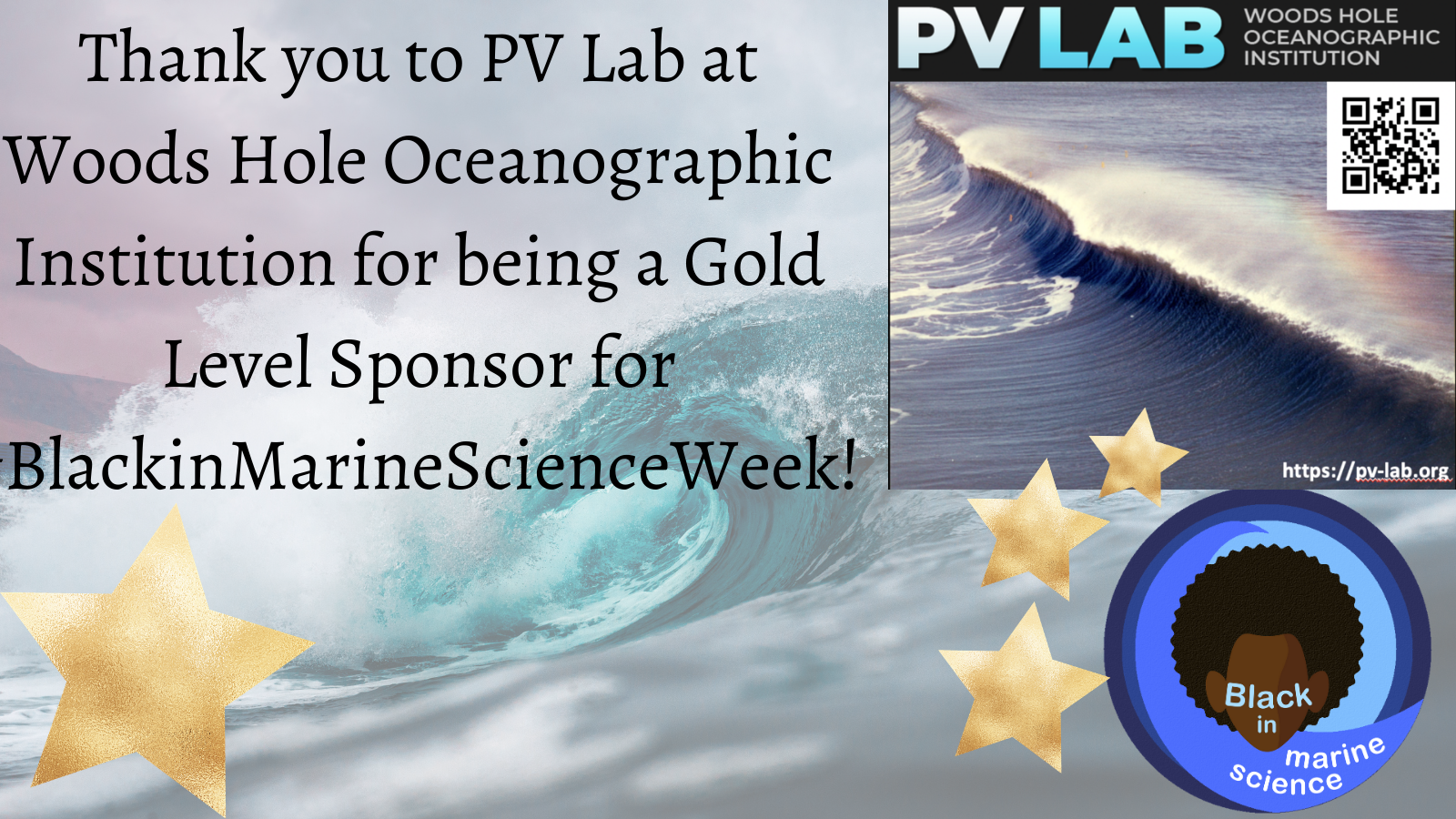 Thank you to the PVLab at the Woods Hole Oceanographic Institution for being a Gold Level Sponsor for Black in Marine Science Week
