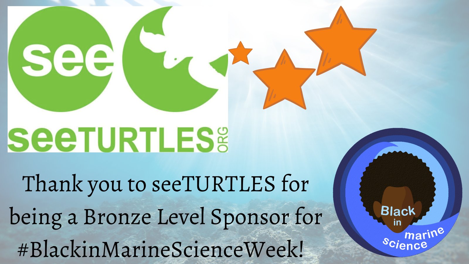 Thank you to SEE Turtles for being a Bronze Level Sponsor for Black in Marine Science Week